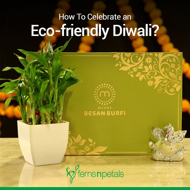 Bombay Greens Eco-Friendly Diwali Gift Items| Diwali Hamper| Ceramic Diyas|  Incense Cones| Unique Diwali Gifts for Family and Friends| Sparkling Diwali  Treats : Amazon.in: Garden & Outdoors