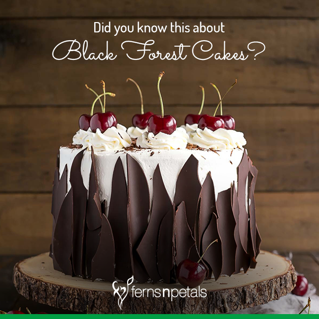 Cake Story Cafe  Black forest cake  Facebook