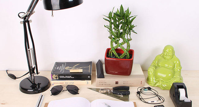 Study deals table plants