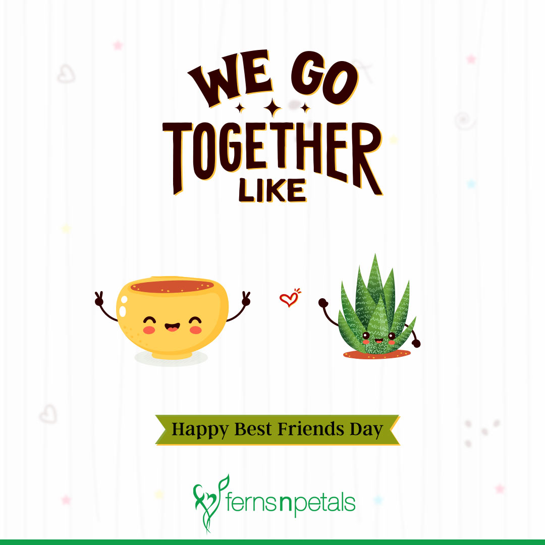 Happy Friendship Day 2021: Images, Quotes, Wishes, Messages, Cards