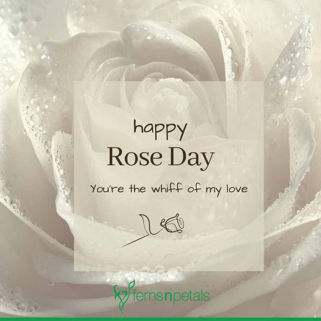 Happy Rose Day | Birthday wishes for boyfriend, Rose day shayari, Happy rose  day wallpaper