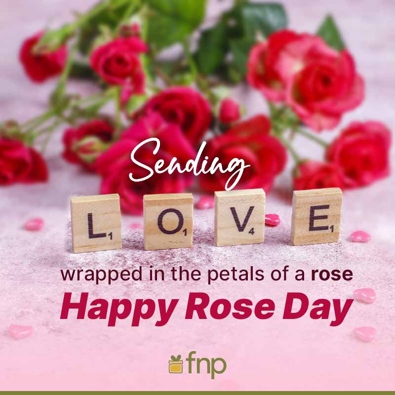 Happy Rose Day Quotes, Wishes & Images For Love