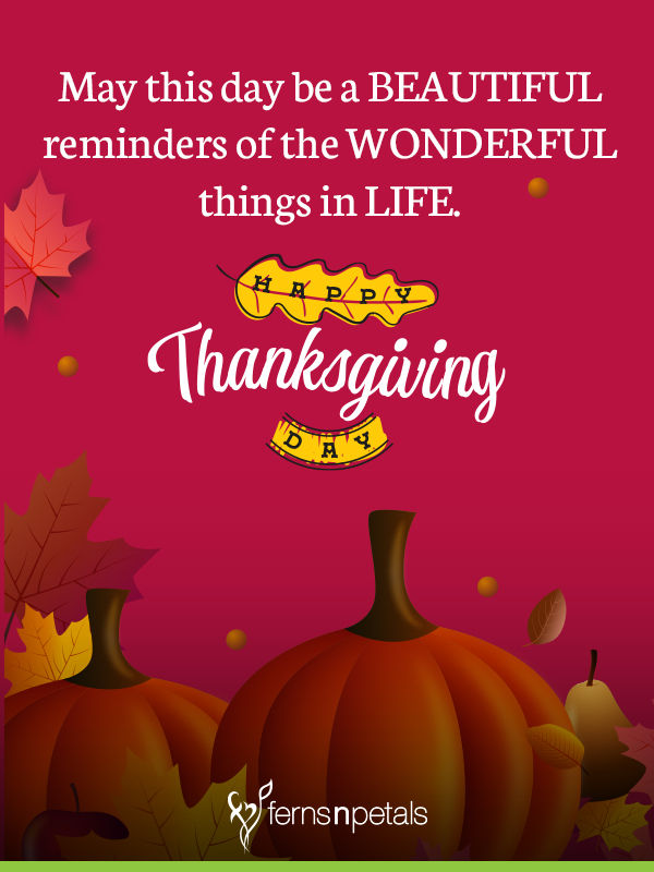 Pin by Quotes Collection Daily Update on Happy Thanksgiving Day