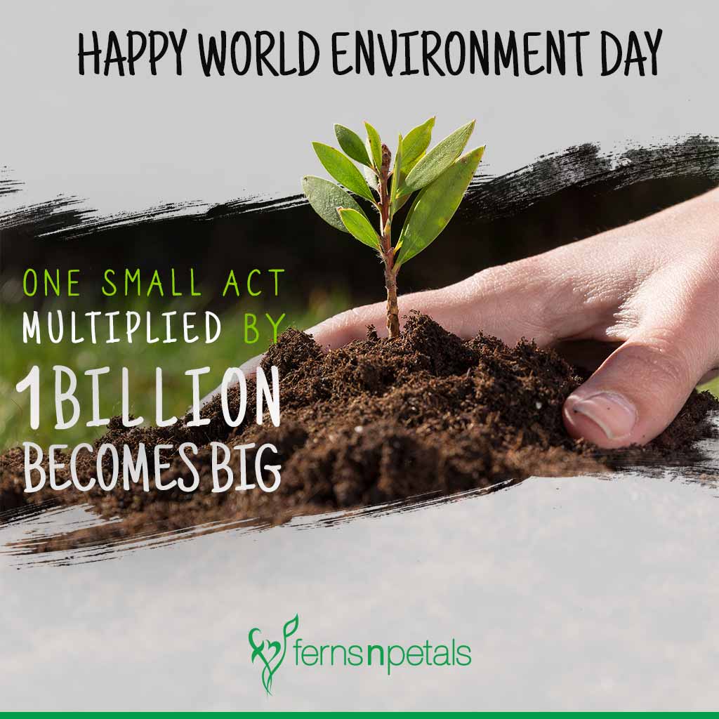 80+ World Environment Day Wishes: Quotes & Images - FNP